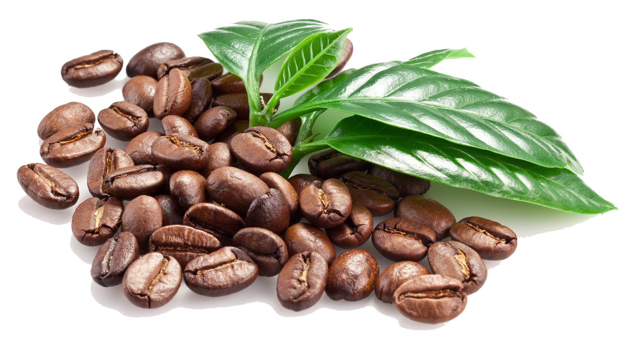 9-2-coffee-beans-png-clipart